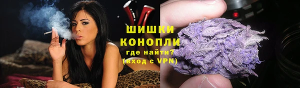 гидра Белоозёрский